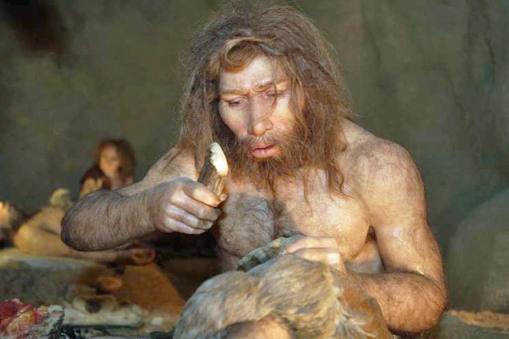 zago43m Neanderthal