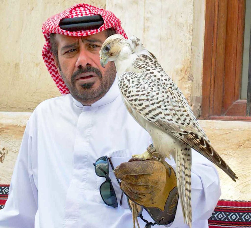 qatar29m-falco-e-falconiere