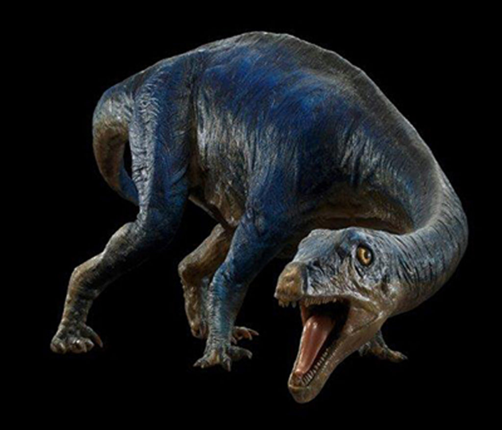 01-adeopapposaurus-mognai-foto-claus-rammel