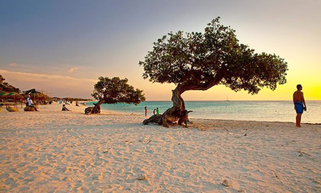Aruba, Caraibi, Palm Eagle Beach