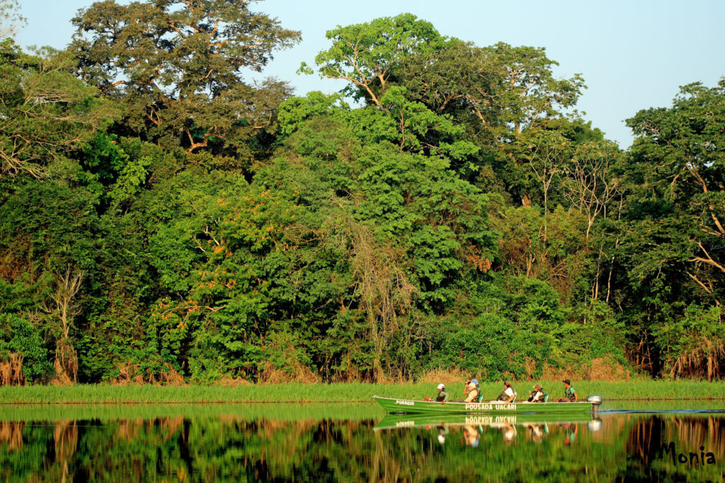 Amazzonia, in canoa nella Verzea