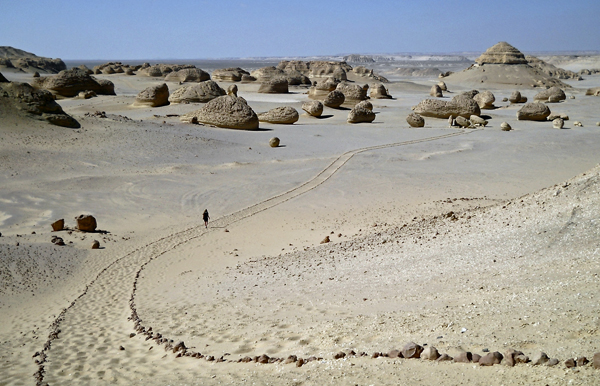 L'area paleontologica diWadi Al Hitan