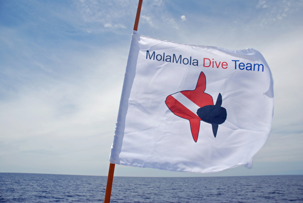 La bandiera del Mola Mola, Diving Team