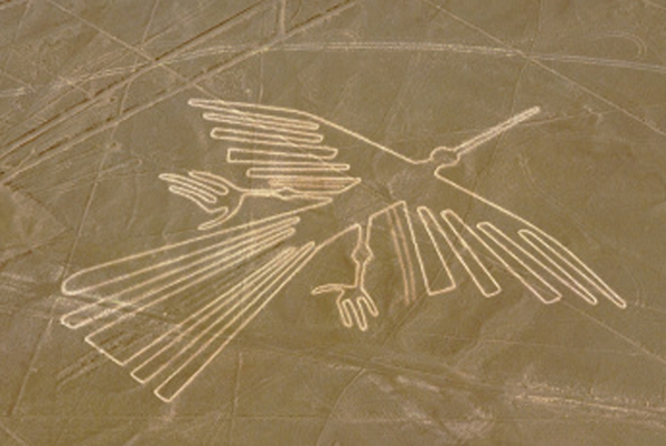 Nazca Lines,Condor