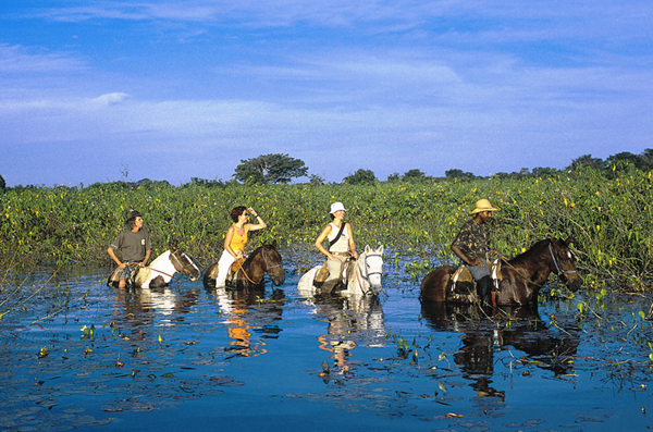 Pantanal, turisti