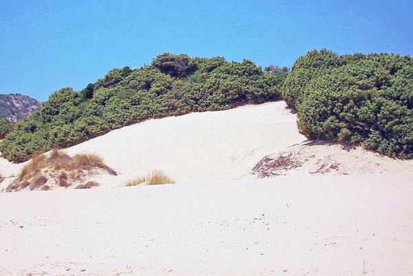 Le dune di Chia 