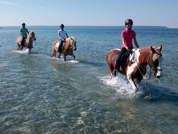 Horse Country Resort - Passeggiata in acqua