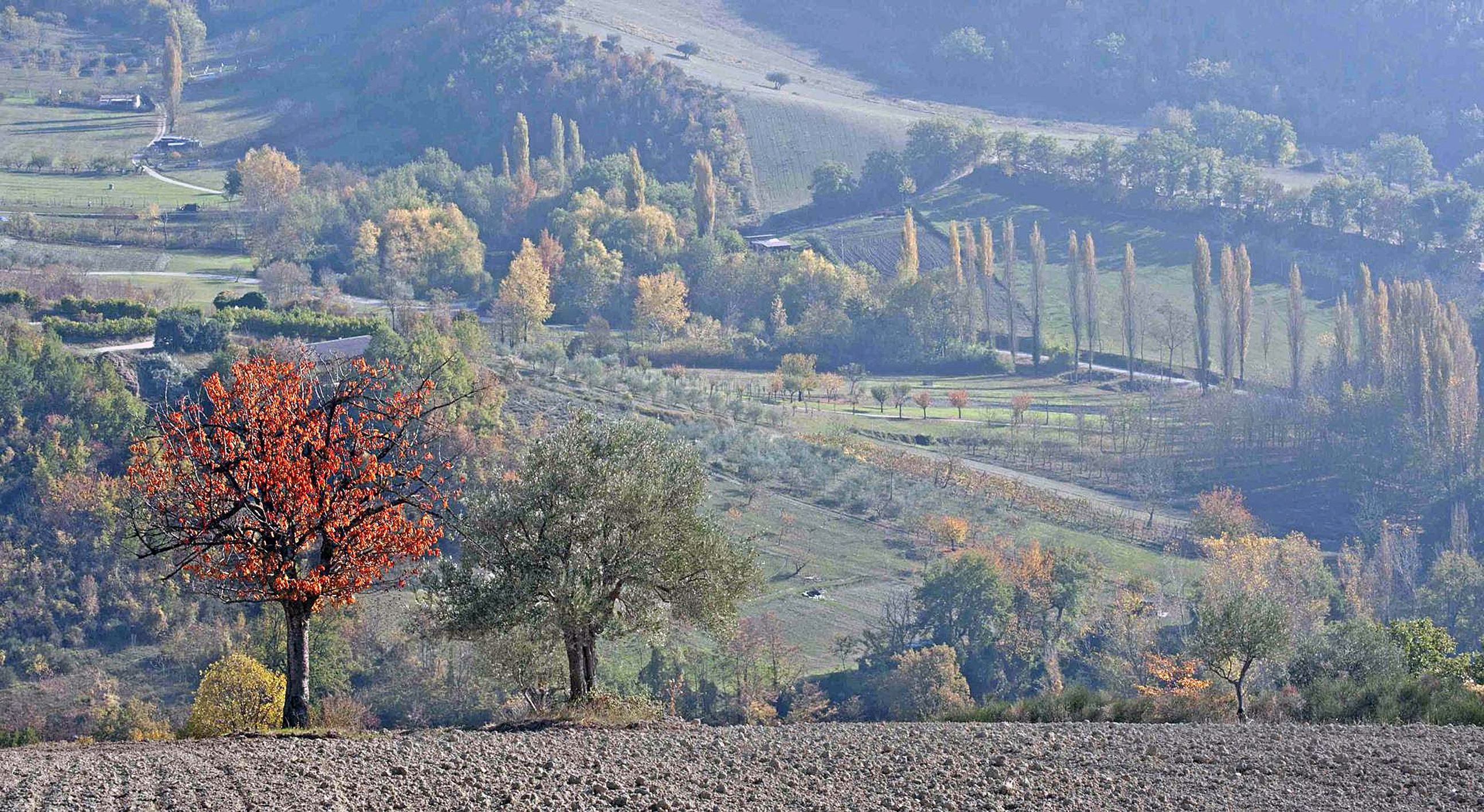 Foto Foliage Copyright Regione Marche