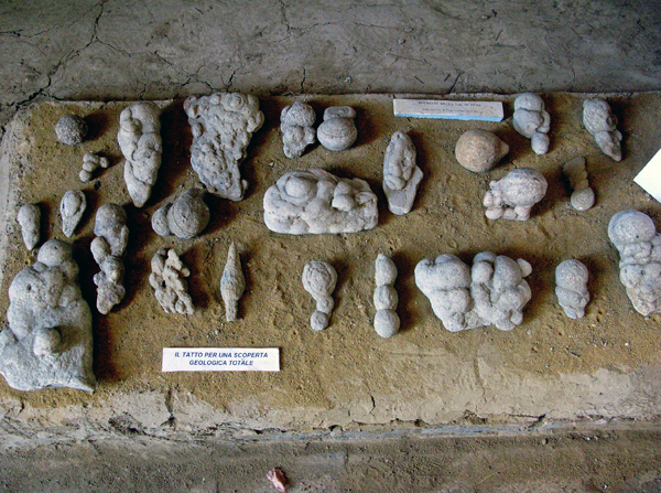 Alcuni Botroidi del Museo di Tazzola - foto G. Rivalta