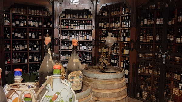 Museo del vino Fattoria Paradiso