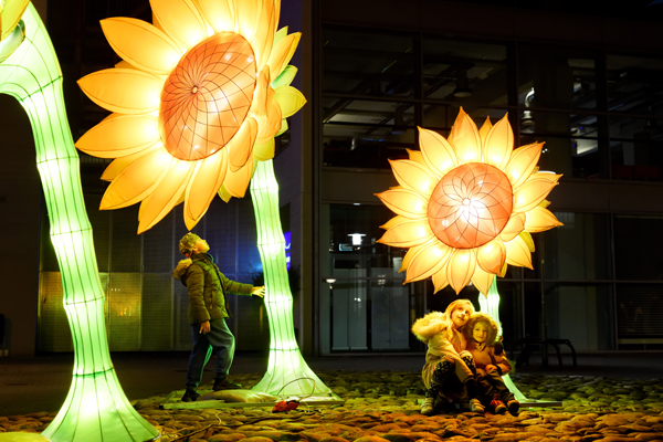 GLOW Eindhoven Sunflowers for Van Gogh