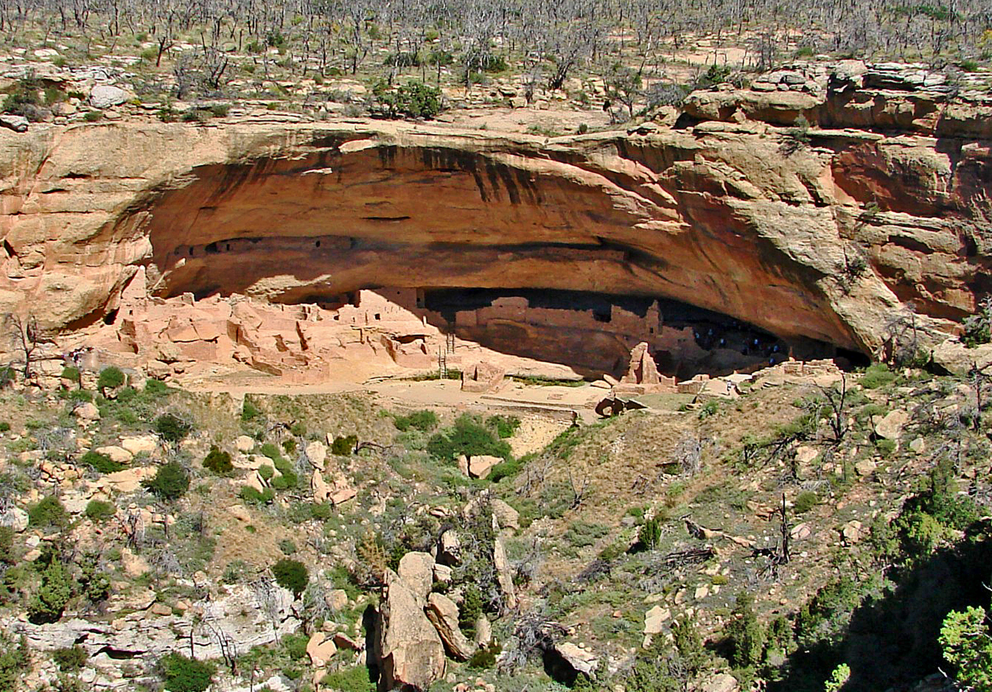 APERTURA FOTO9 Long_House,_Mesa_Verde_- Foto Don Graham -Da Wikimedia Commons