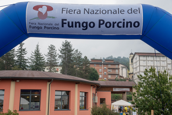 Fiera del Fungo Porcino di Albareto - Credit Francesca Bocchia