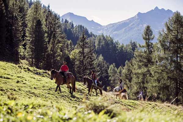 Tyrol - cavallo-credit IDM Südtirol-Alto AdigeHansi Heckmair