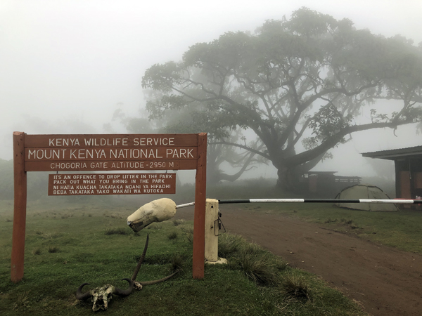  Ingresso nel Monte Kenya National Park