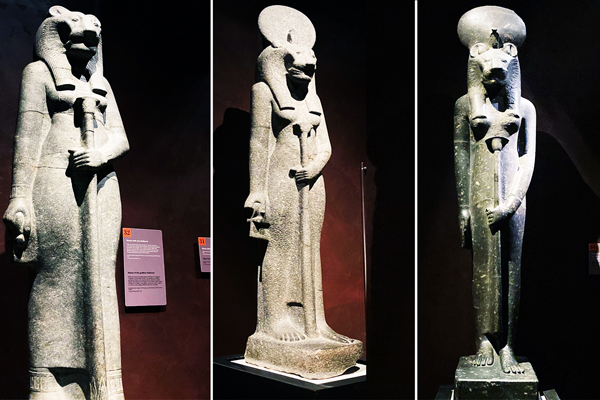 Varie statue della dea Sekhmet