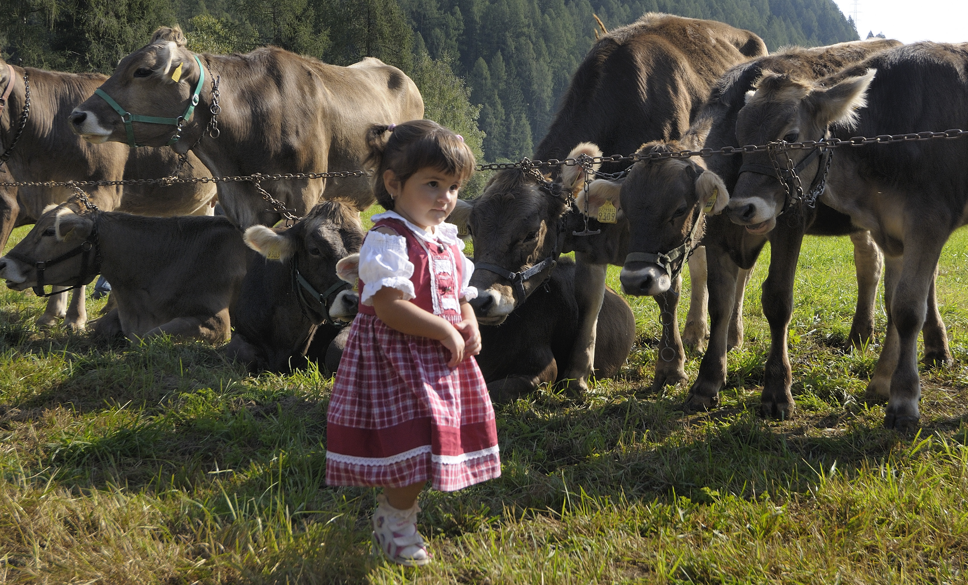 VAL DI SOLE Alpin-Wellness-Hotel-Kristiania-AttivitÃ -per-a-famiglia