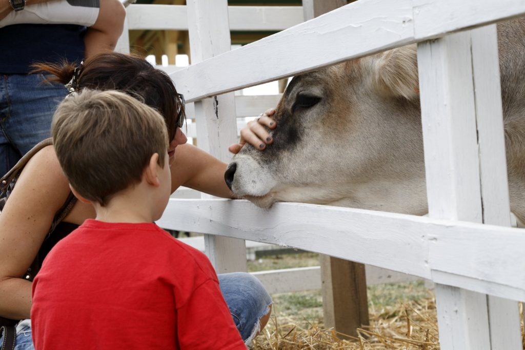 Rural Festival - Bambini e animali