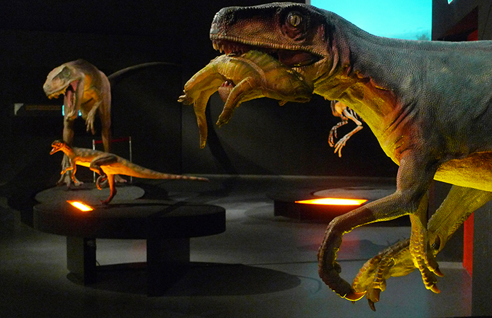 06-herrerasaurus-ischigualastensis