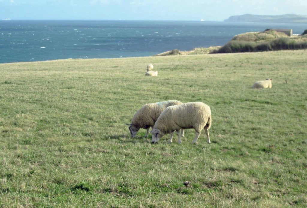 Cap Griz Nez