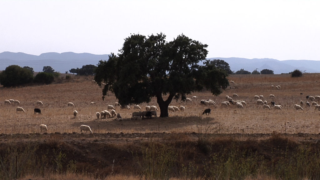 Paesaggio