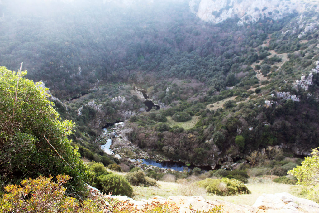 Gravina Laterza