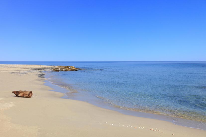 Spiaggia Le Cesine