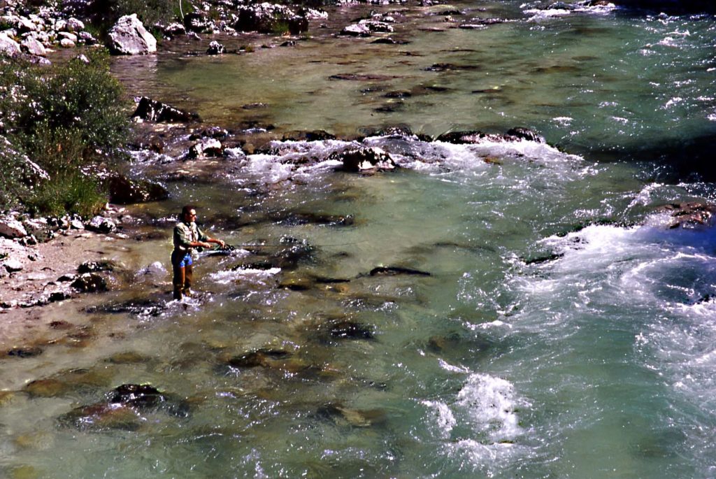 Fiume Isonzo, pescatore