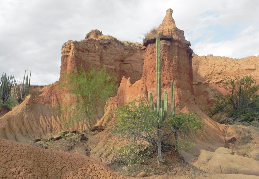 Deserto Tatacoa