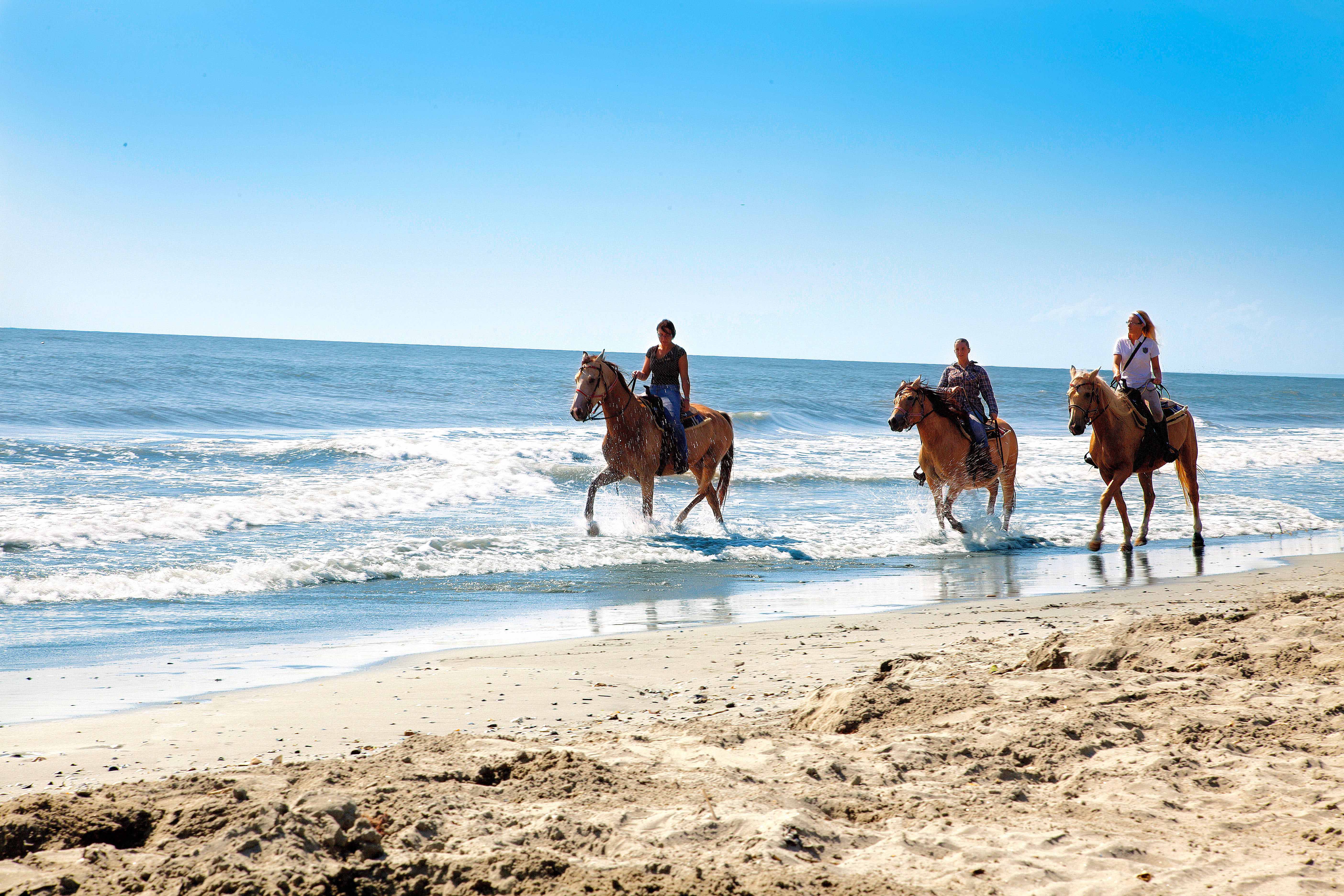 Villaggio Barricata_spiaggia a cavallo_b