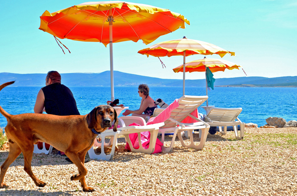 mare30 Crikvenica Monty's dog beach and bar