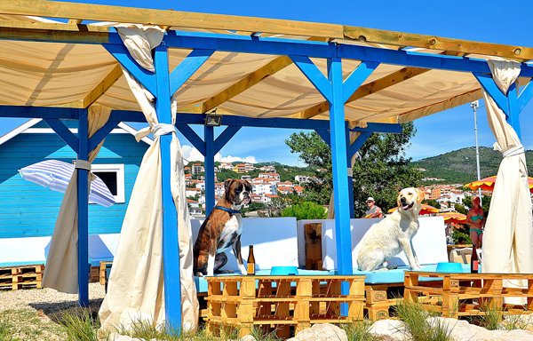 mare33 Crikvenica Monty's dog beach and bar