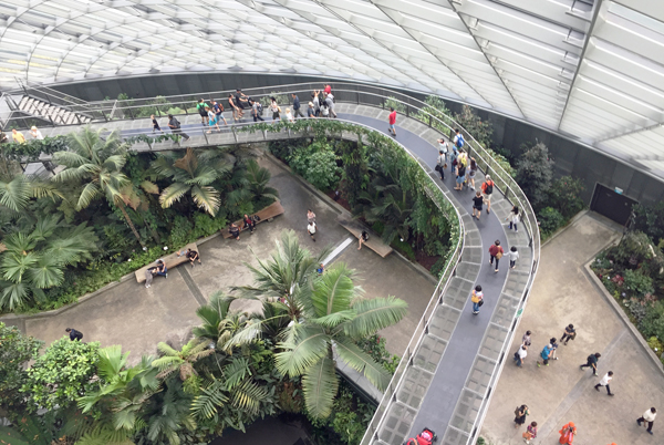 Gardens By the Bay