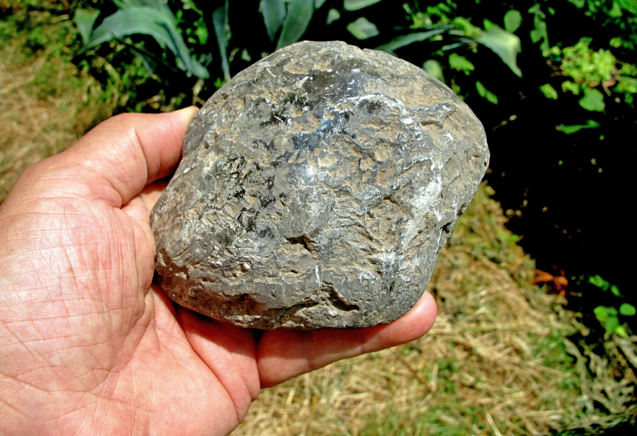 342 Nodulo di Barite da Paderno