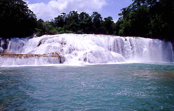 agua azul01 cascata copia