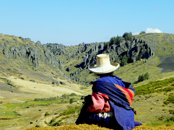 Cajamarca