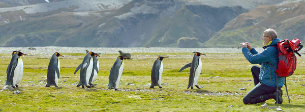 Antarctica_07122013_173.jpg