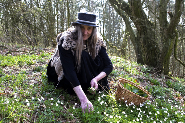 Heksen i Rold Skov. Dannie Druehyld plukker anemoner.