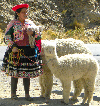 perù30 Puno, pastora