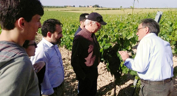 Michele Placido e Mimmo Volpone in vigna