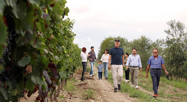 Michele Placido e Mimmo Volpone in vigna