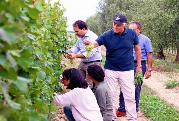 Michele Placido nella vigna Falanghina