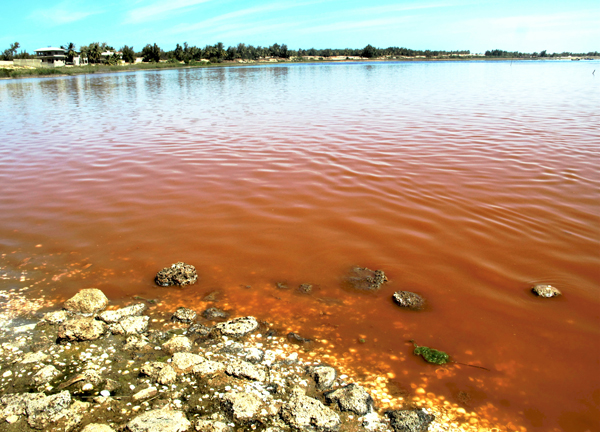 Senegal, Lago Rosa