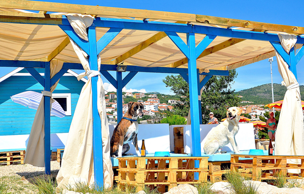 Crikvenica, spiaggia e bar per cani