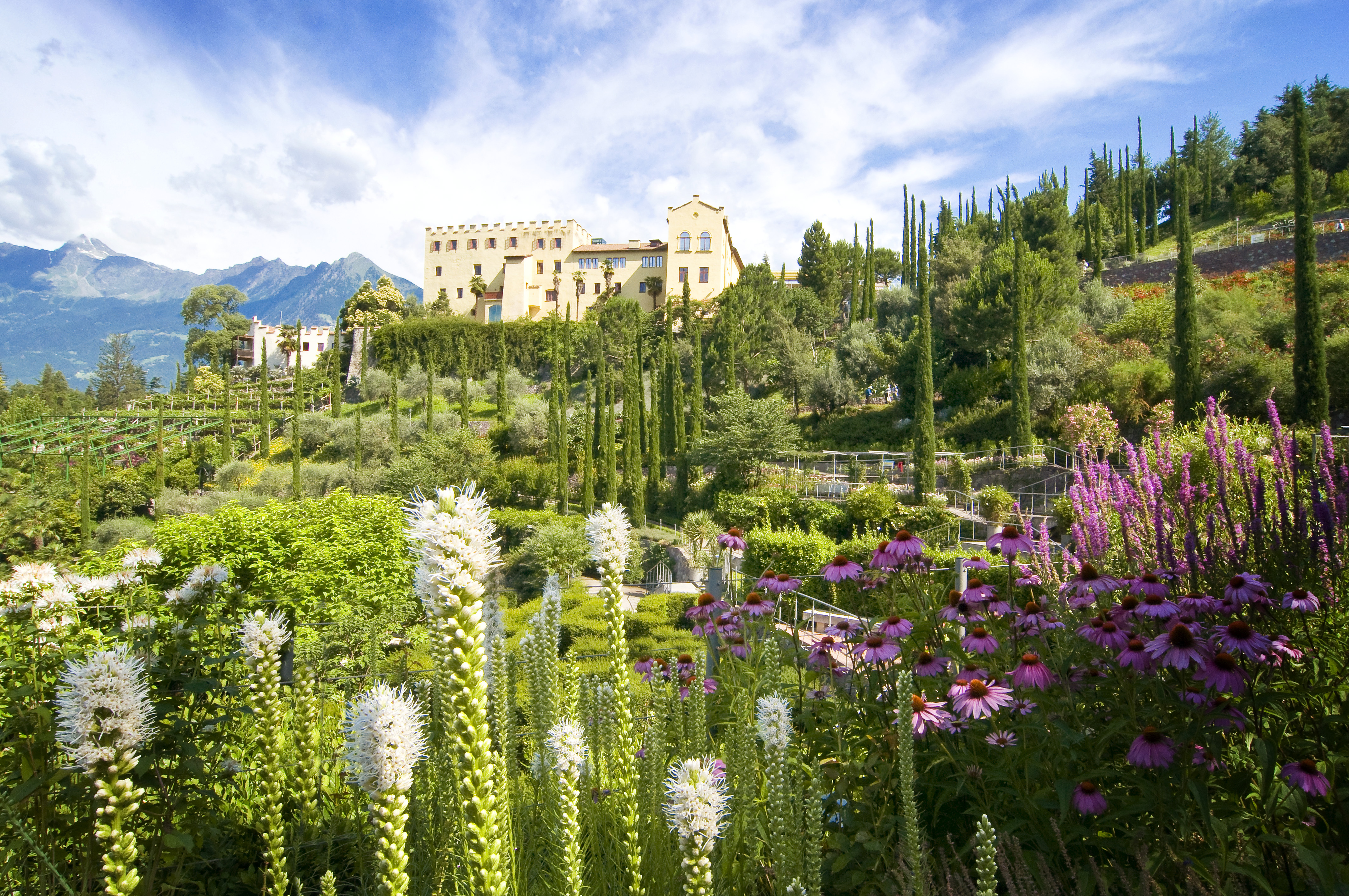 Zu Füßen der historischen Sommerresidenz von Kaiserin Sisi in Schloss Trauttmansdorff bei Meran erstreckt sich das Blumenmeer über die botanischen Gärten in ihrer ganzen Artenvielfalt.