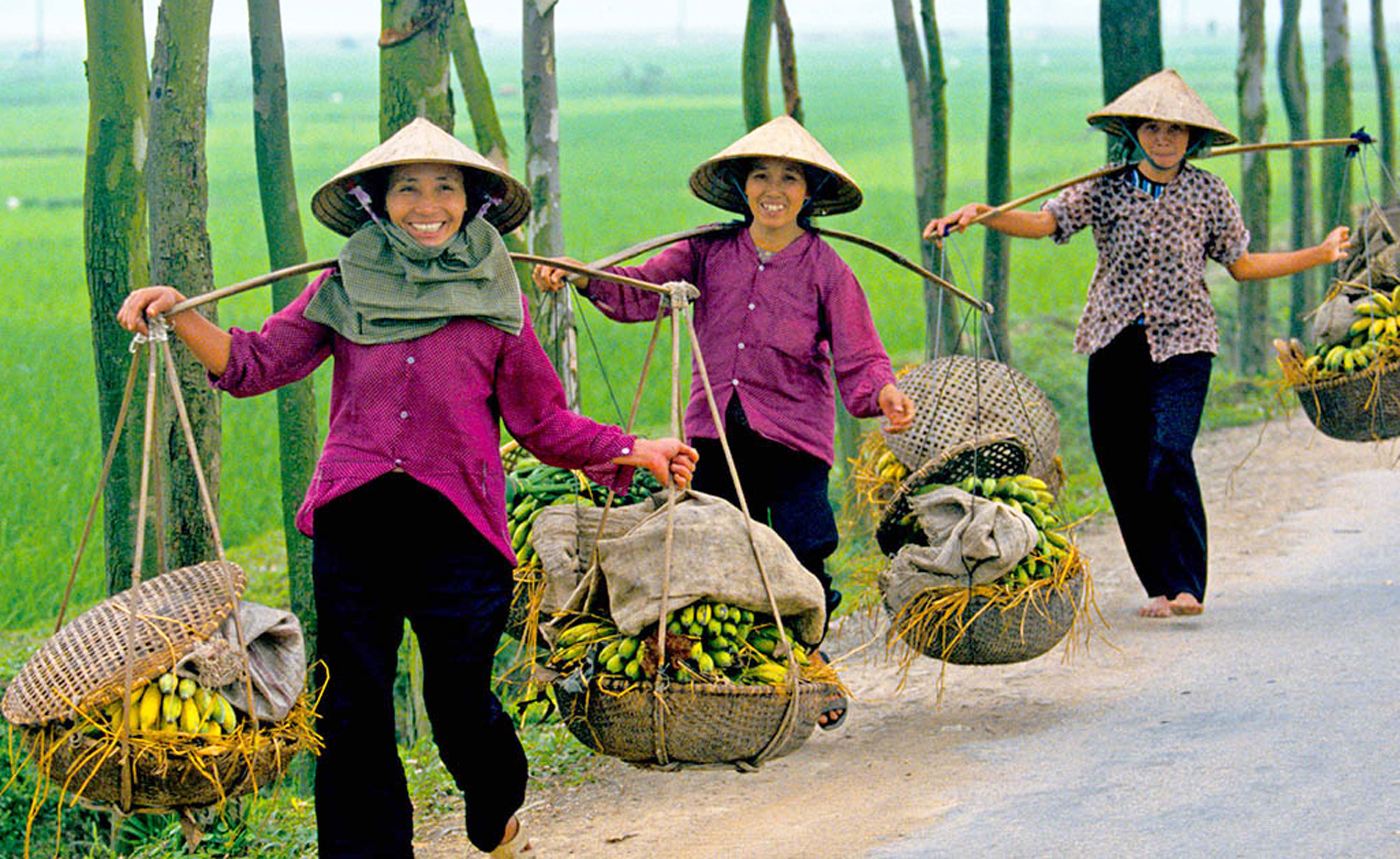 AR3DB9 A trio of women carry bananas along a road in Northern Vietnam outside Hanoi