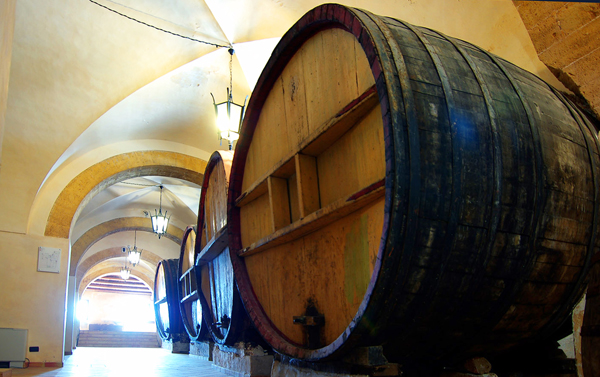 Cantina, le grandi botti