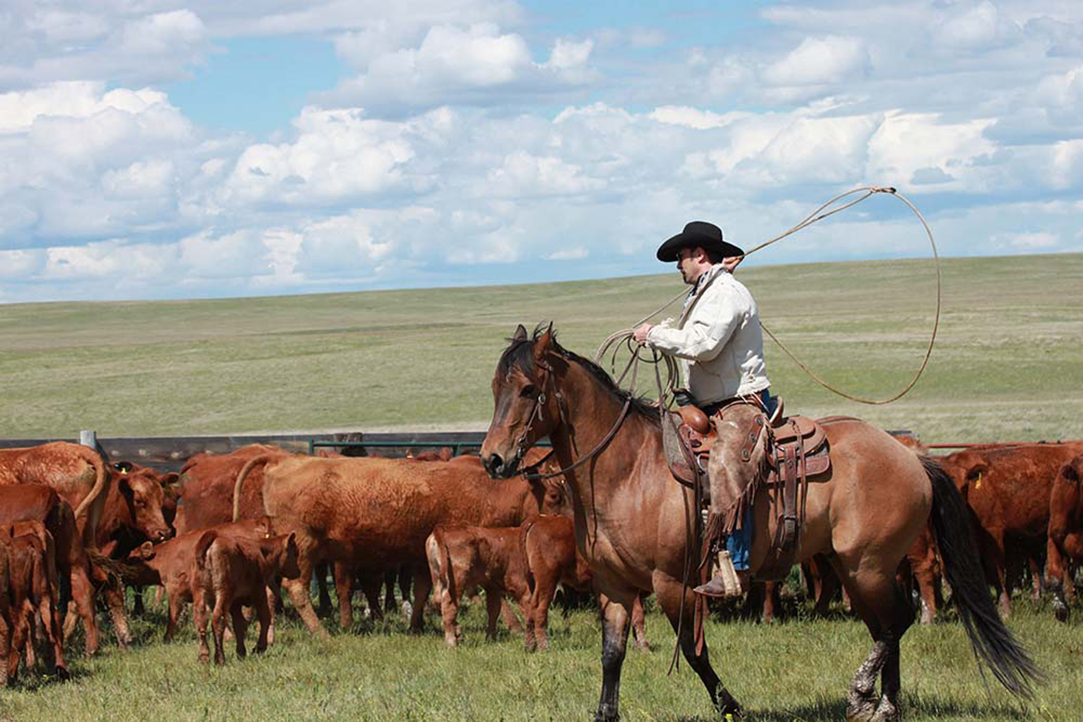 Valsassina-country-festival-cowboy