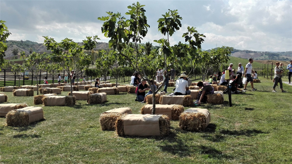 Relax sotto i fichi della fattoria di Rivalta