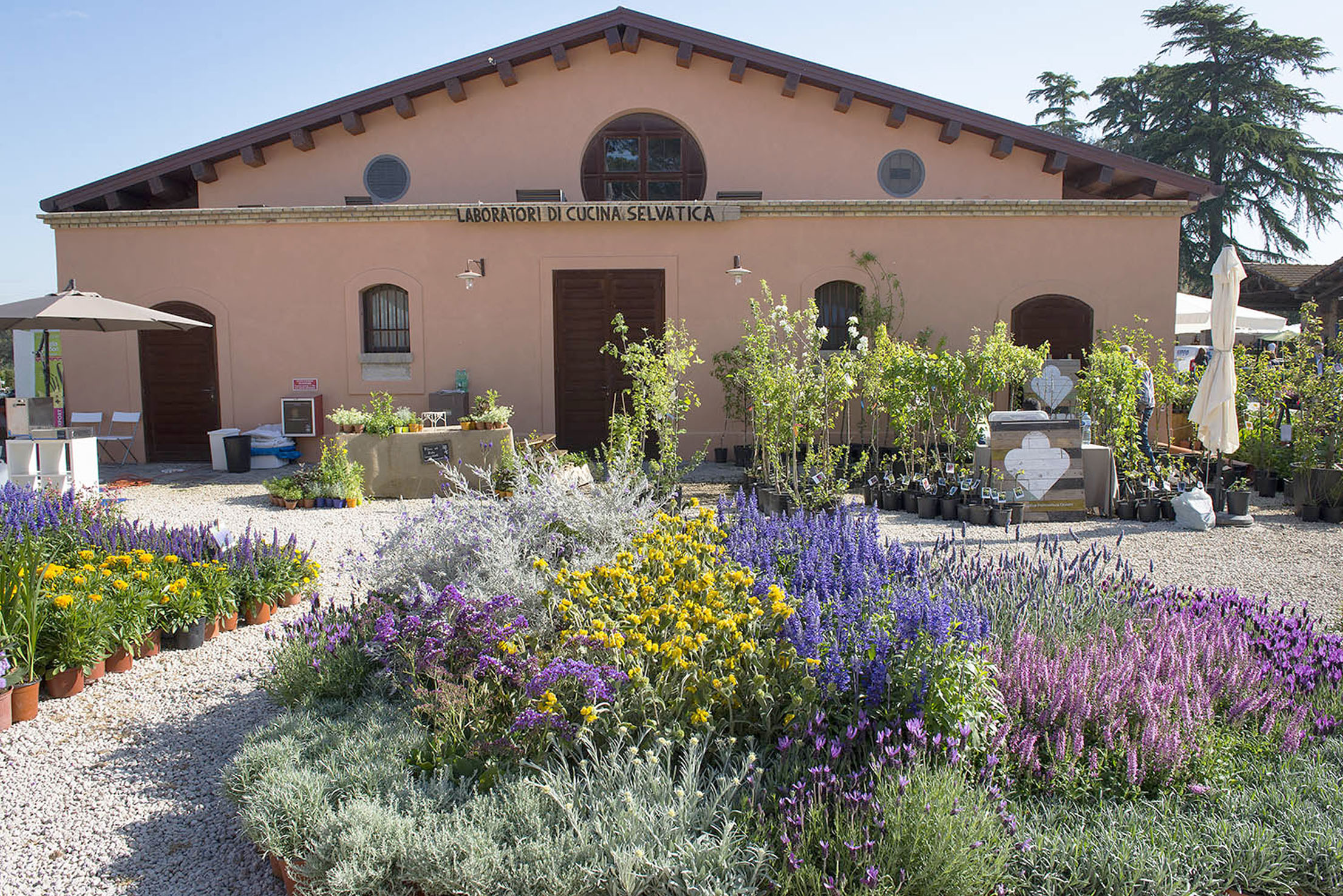 75) FloraCult Roma, il laboratorio di Cucina selvatica